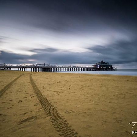 Studio Mare Nostrum Blankenberge Esterno foto